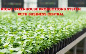 picas greenhouse productions system with business central